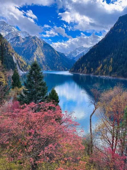 snapvideo.io----2023人生照片-4958